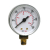 REGIN O60 OIL PRESSURE GAUGE 0-300 PSI 1/8"BSP BOTTOM CONN