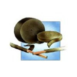 FELT PIPE LAGGING 4" X 24FT POLY REINFORCED ROLL